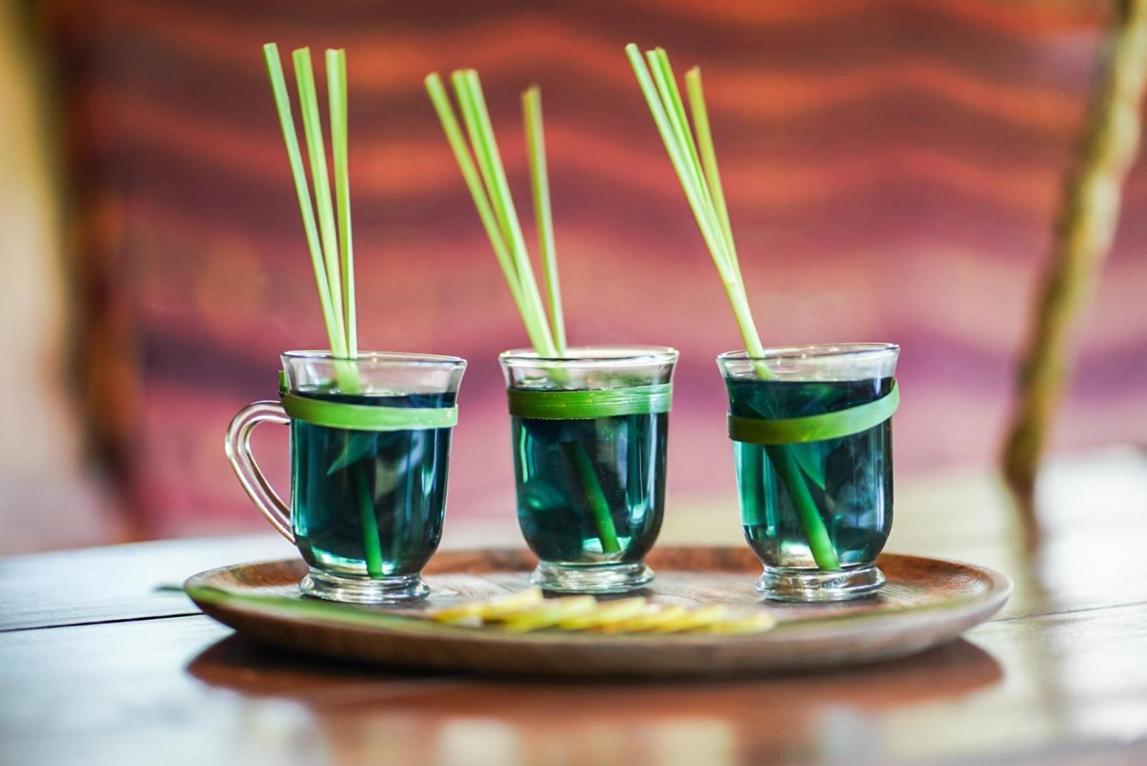 Sten Lodge لابوان باجو المظهر الخارجي الصورة